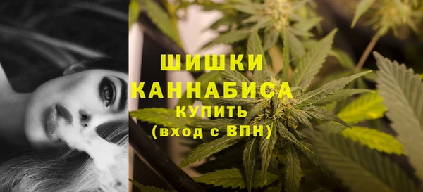 spice Елизово