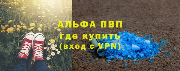 spice Елизово