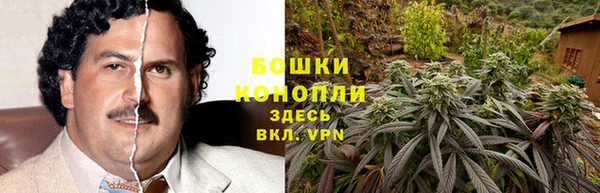 spice Елизово