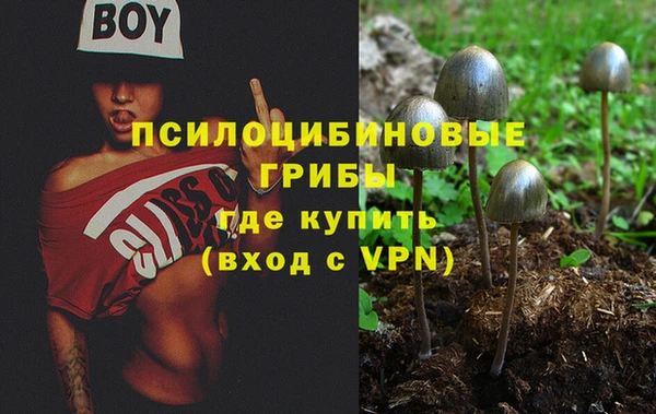 spice Елизово