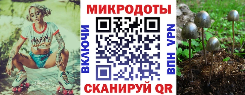 OMG ссылки  Николаевск  Галлюциногенные грибы мухоморы 