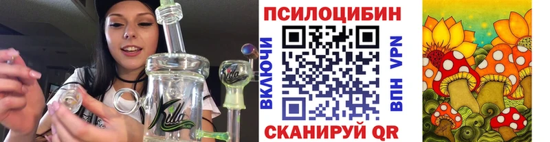 Галлюциногенные грибы мухоморы Николаевск